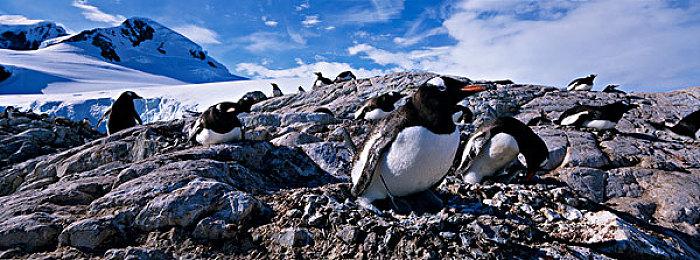 《巫师3》曾想这么设计：白狼若全副武装下水 就会淹死